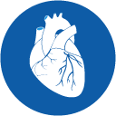 alpha dev healthcare